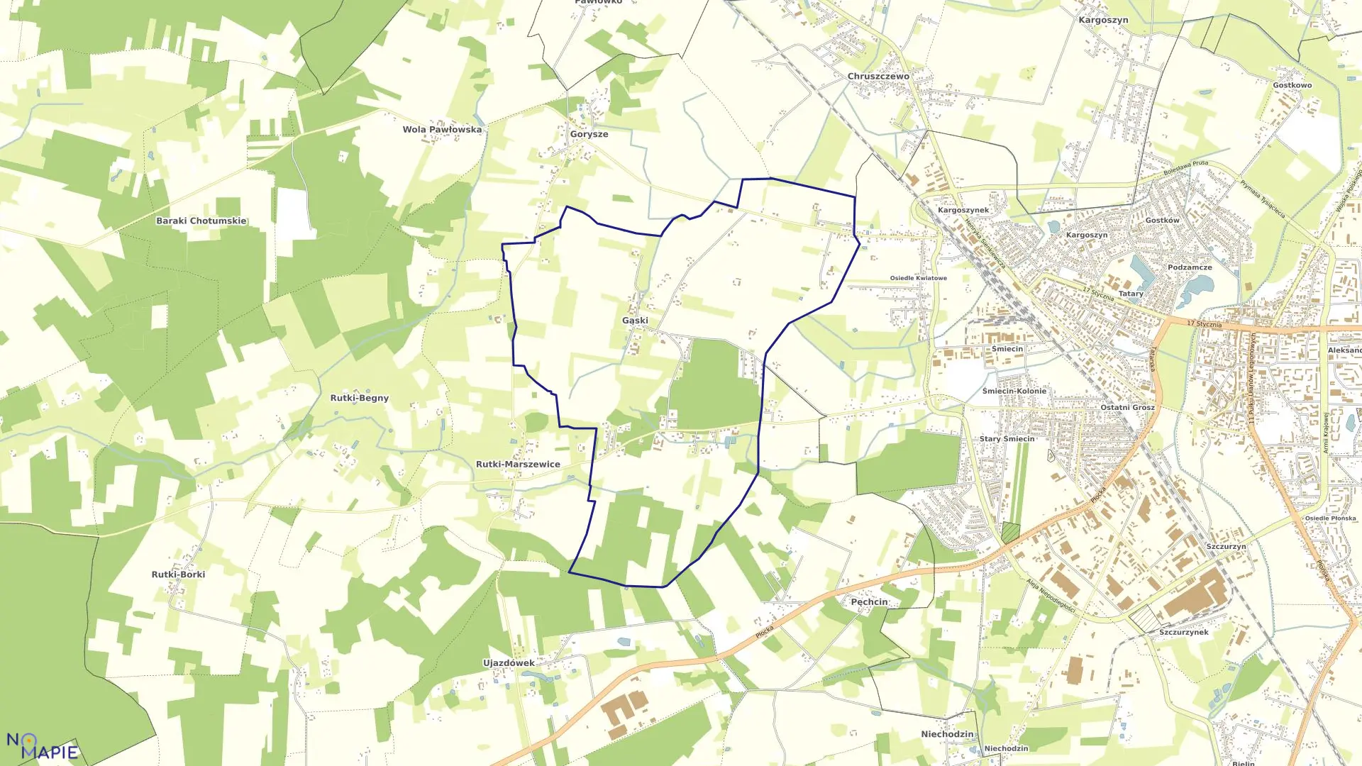 Mapa obrębu GĄSKI w gminie Ciechanów