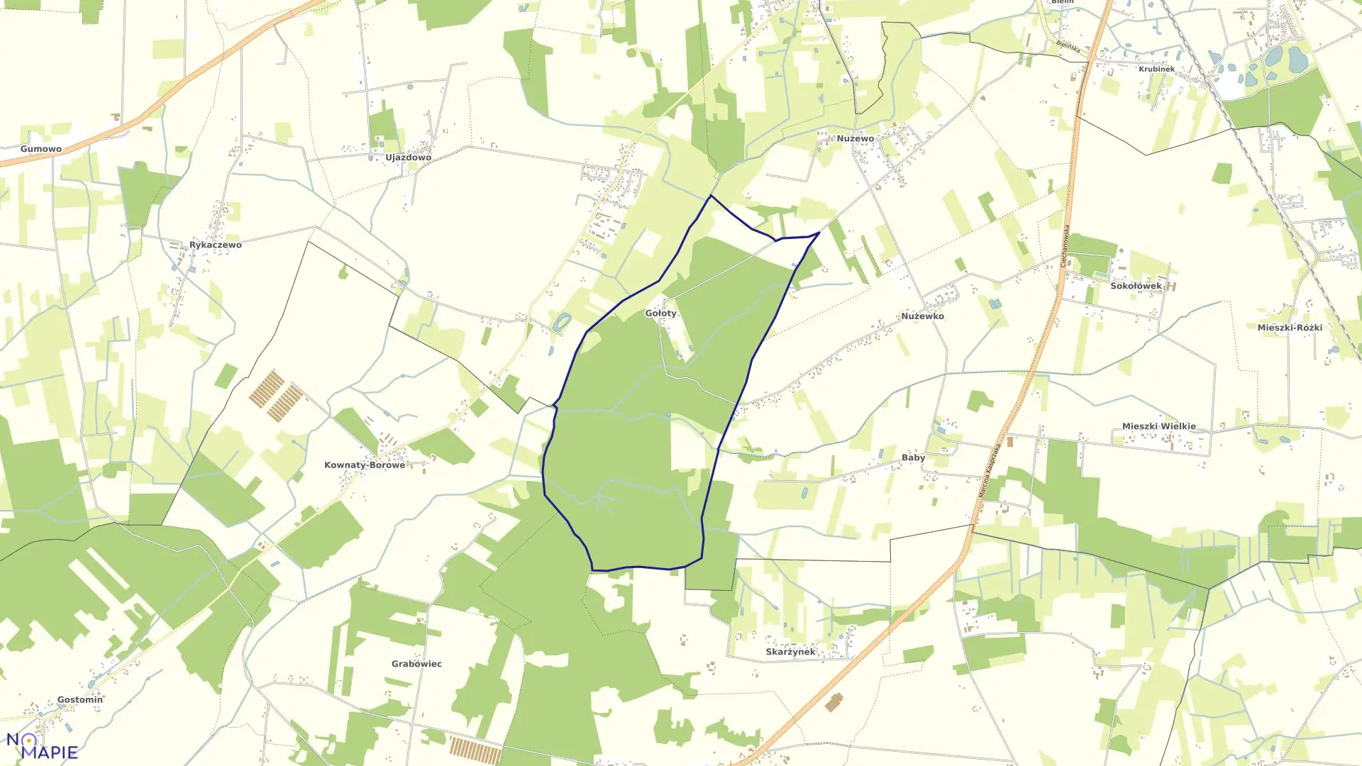 Mapa obrębu GOŁOTY w gminie Ciechanów